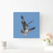 Flying Osprey & Fish Wildlife Photography Vierkante Klok (Huis)