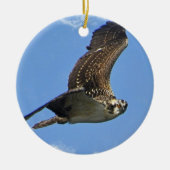 Flying Osprey Ornament (Voorkant)