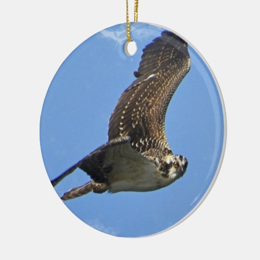 Flying Osprey Ornament (Links)