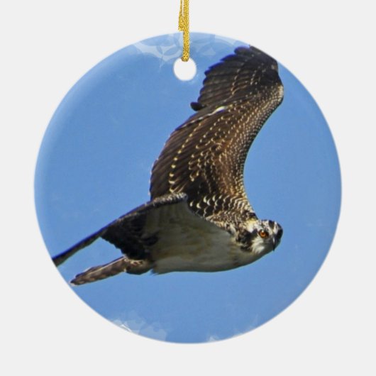 Flying Osprey Ornament (Achterkant)