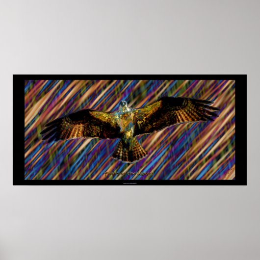 Flying OSPREY Raptor Modern Art Poster (Voorkant)