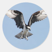 Flying Osprey Ronde Sticker (Voorkant)