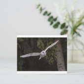 Flying owl briefkaart (Staand voorkant)