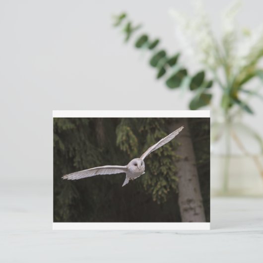 Flying owl briefkaart (Staand voorkant)