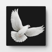 Flying Peace Dove  Plaque Fotoplaat (Voorkant)