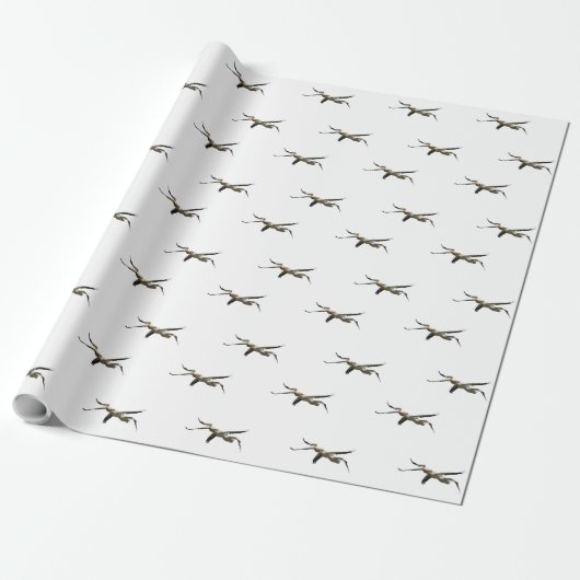 Flying Pelican 3 Cadeaupapier (Uitgerold)