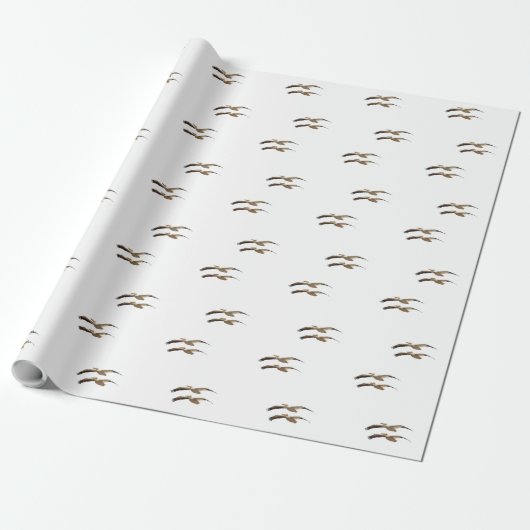 Flying Pelican 4 Cadeaupapier (Uitgerold)