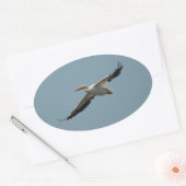 Flying Pelican 4 Sticker (Envelop)