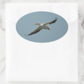 Flying Pelican 4 Sticker (Tas)