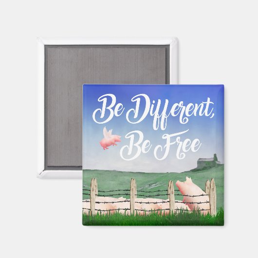 Flying Pig-Be Anders Magneet (Voorkant / Achterkant)