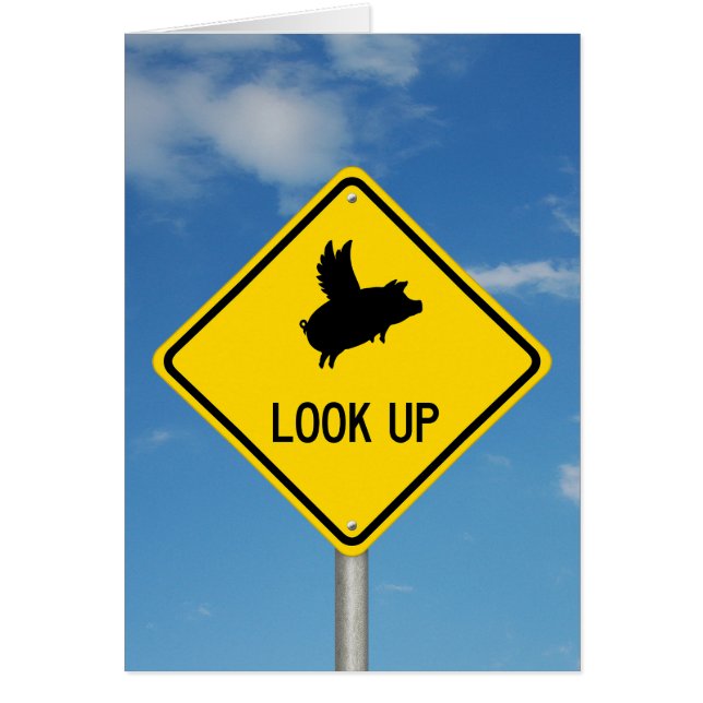Flying Pig Road Sign (Voorkant)