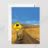 Flying Pig Road Sign Briefkaart (Voorkant / Achterkant)