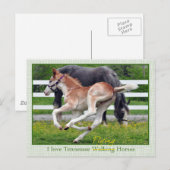 Flying Red Roan Briefkaart (Voorkant / Achterkant)