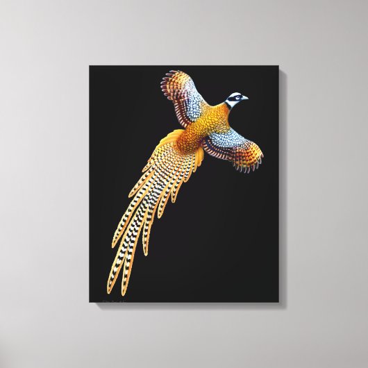 Flying Reeves fazant verpakt canvas Afdruk (Voorkant)