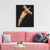 Flying Reeves fazant verpakt canvas Afdruk (Insitu (Woonkamer))