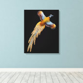 Flying Reeves fazant verpakt canvas Afdruk (Insitu (Houten vloer))