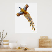 Flying Reeves Pheasant Print (Keuken)