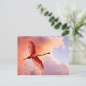 Flying Roseate lepel Briefkaart (Staand voorkant)
