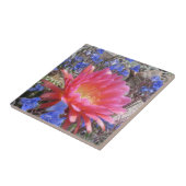 Flying Saucer Cactus Bloom Tegeltje (Zijkant)