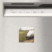 Flying Scotsman in Goathland Magneet (Insitu (Vaatwasser))