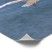 Flying Seagull Foto Poster (Hoek)