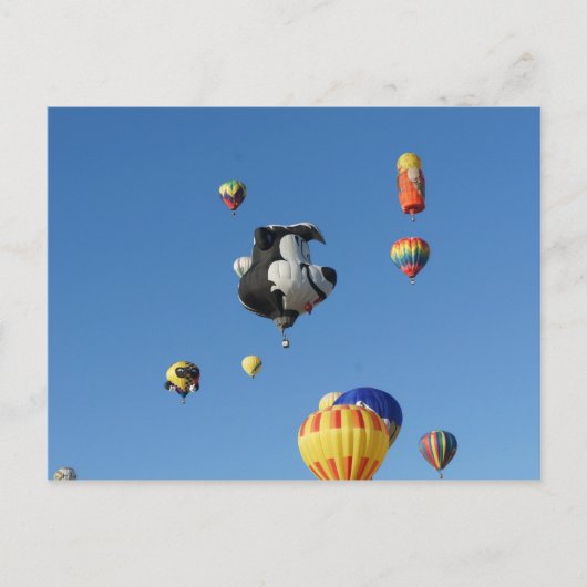 Flying Skunk Briefkaart (Voorkant)