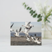 Flying Snow Geese Briefkaart (Staand voorkant)