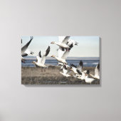 Flying Snow Geese Canvas Afdruk (Voorkant)