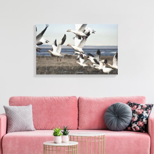 Flying Snow Geese Canvas Afdruk (Insitu (Woonkamer))