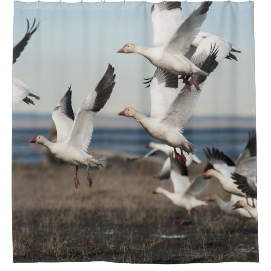 Flying Snow Geese Douchegordijn (Voorkant)