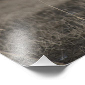 Flying Snow Geese Foto Afdruk (Hoek)