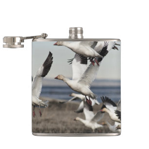 Flying Snow Geese Heupfles
