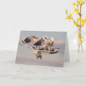 Flying Snow Geese Kaart (Gele Bloem)