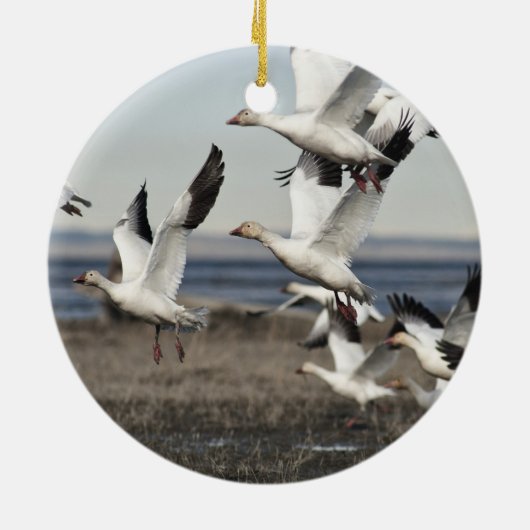 Flying Snow Geese Keramisch Ornament (Achterkant)