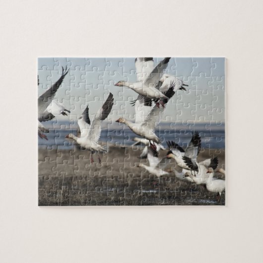 Flying Snow Geese Legpuzzel (Horizontaal)