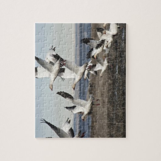 Flying Snow Geese Legpuzzel (Verticaal)