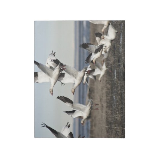Flying Snow Geese Notitieblok (Linkerzijde)
