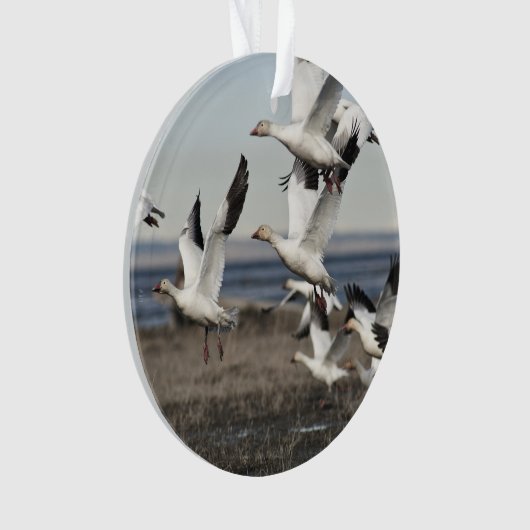 Flying Snow Geese Ornament (voorkant)