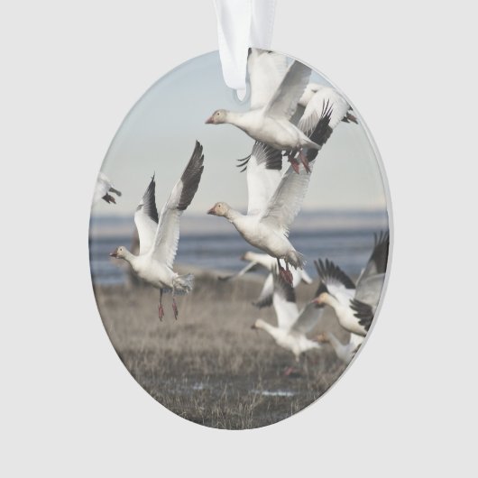 Flying Snow Geese Ornament (voorkant)