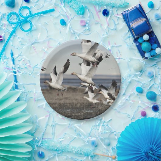 Flying Snow Geese Papieren Bordje (Feest)