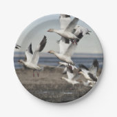 Flying Snow Geese Papieren Bordje (Voorkant)