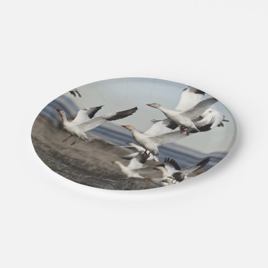 Flying Snow Geese Papieren Bordje (Gekanteld)