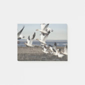 Flying Snow Geese Post-it® Notes (Voorkant)
