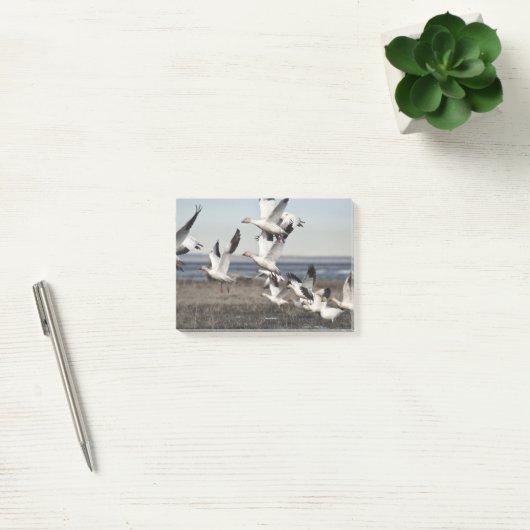 Flying Snow Geese Post-it® Notes (Kantoor)