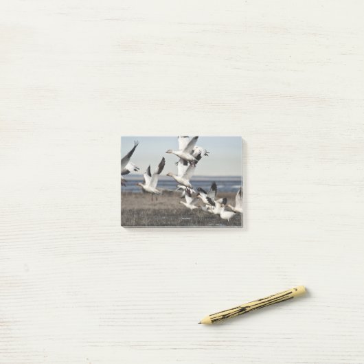 Flying Snow Geese Post-it® Notes (Op bureau)