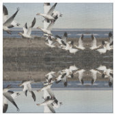 Flying Snow Geese Stof (Close Up)