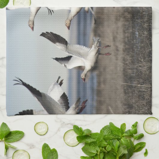 Flying Snow Geese Theedoek (Gevouwen)