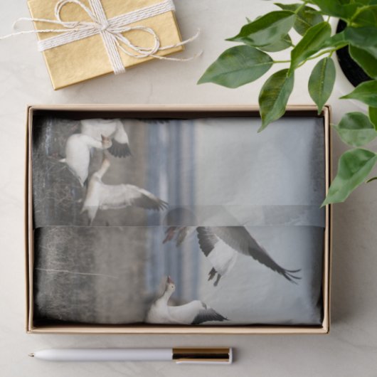 Flying Snow Geese Tissuepapier (Geschenk)