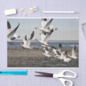 Flying Snow Geese Tissuepapier (Craft)