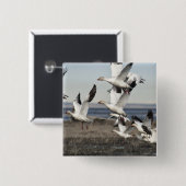 Flying Snow Geese Vierkante Button 5,1 Cm (Voorkant /achterkant)
